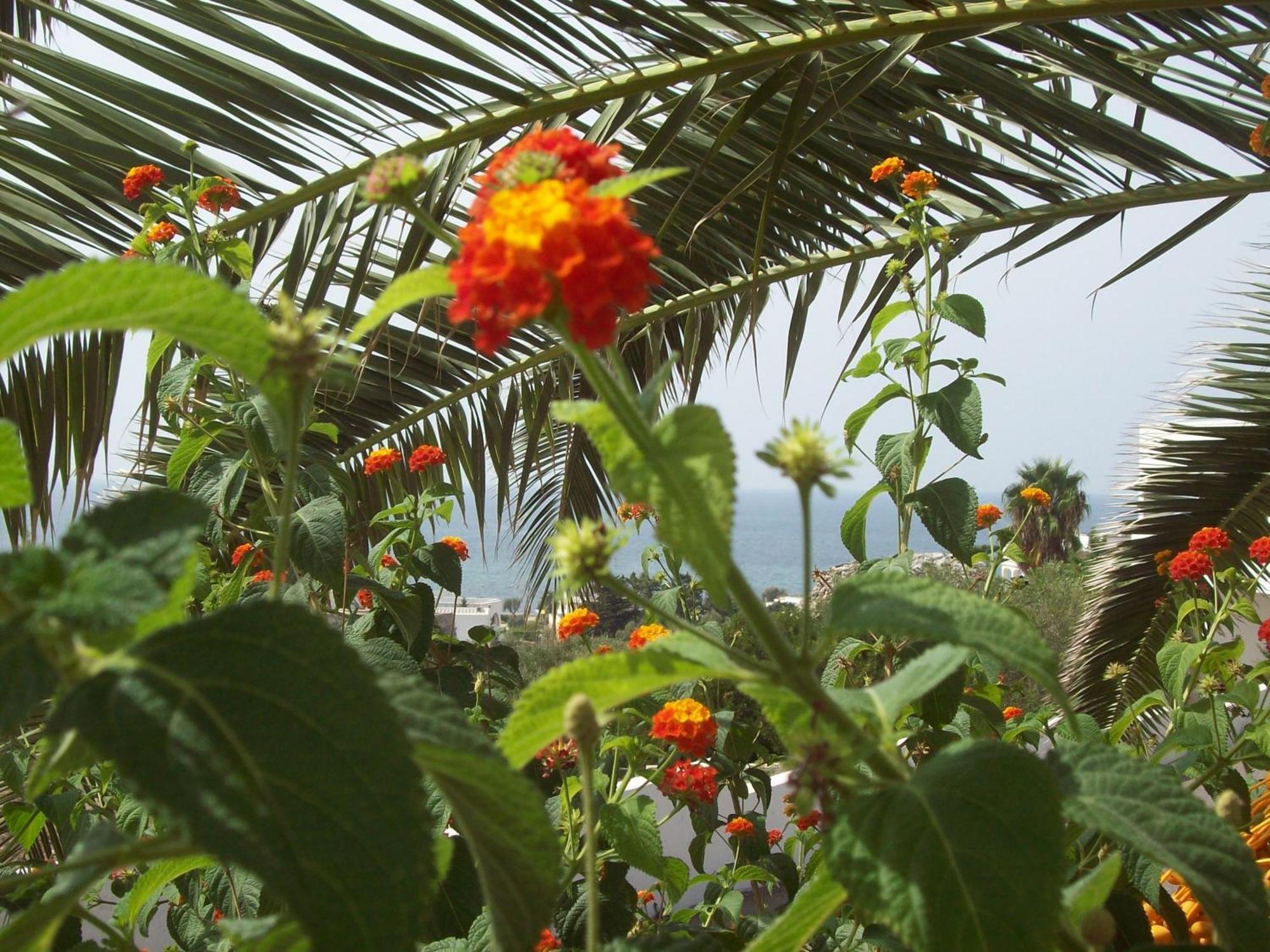 טורה ואדו Hotel Residence Miramare מראה חיצוני תמונה
